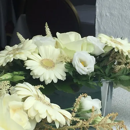 Hotel Assens فندق