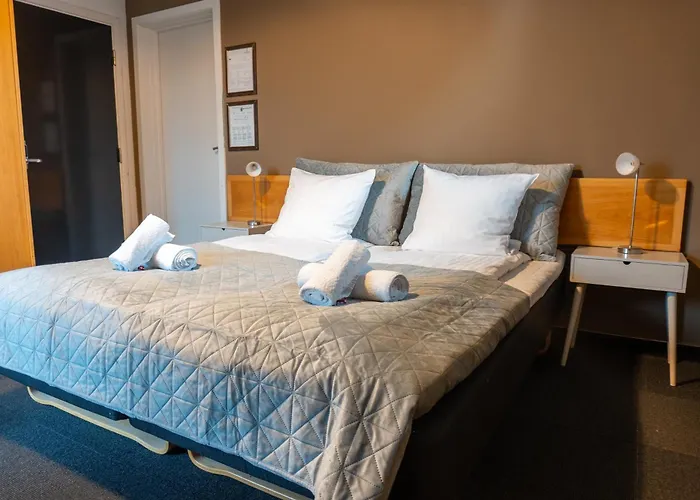 Otel Hotel Assens 3*